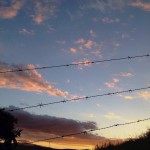 Greyton sunsets